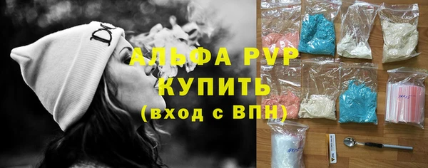 индика Белокуриха